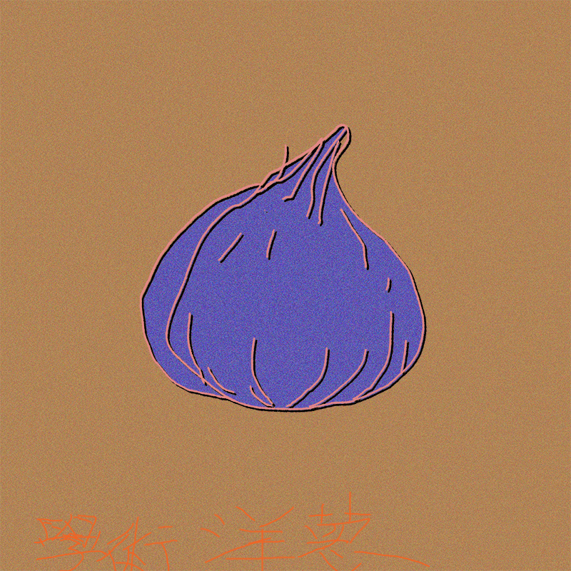 洋葱学术